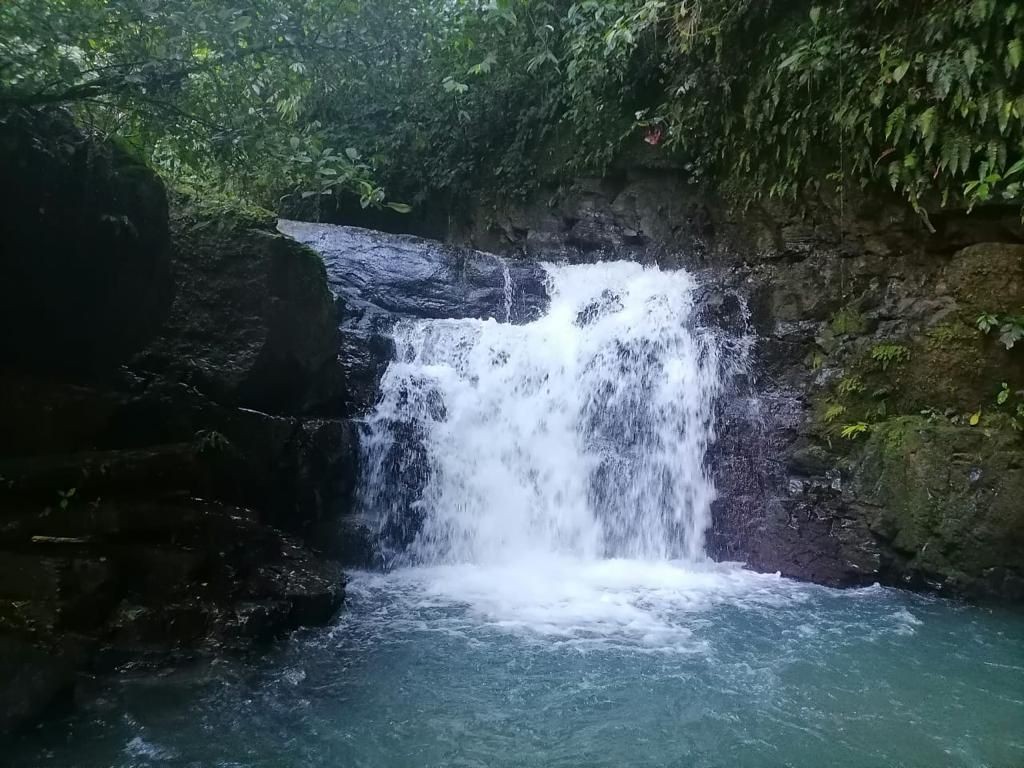 Onsite Waterfalls